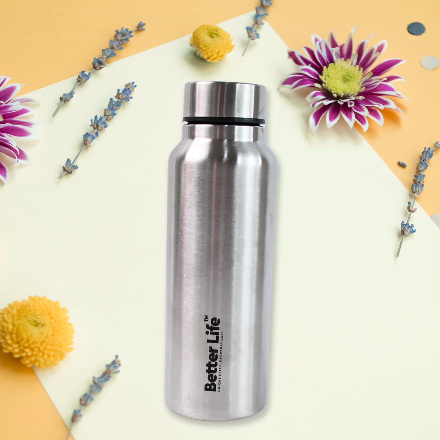 Stainless Steel Double Wall Vacuum-insulated Drink Water Bottle (750 Ml) - Springkart 