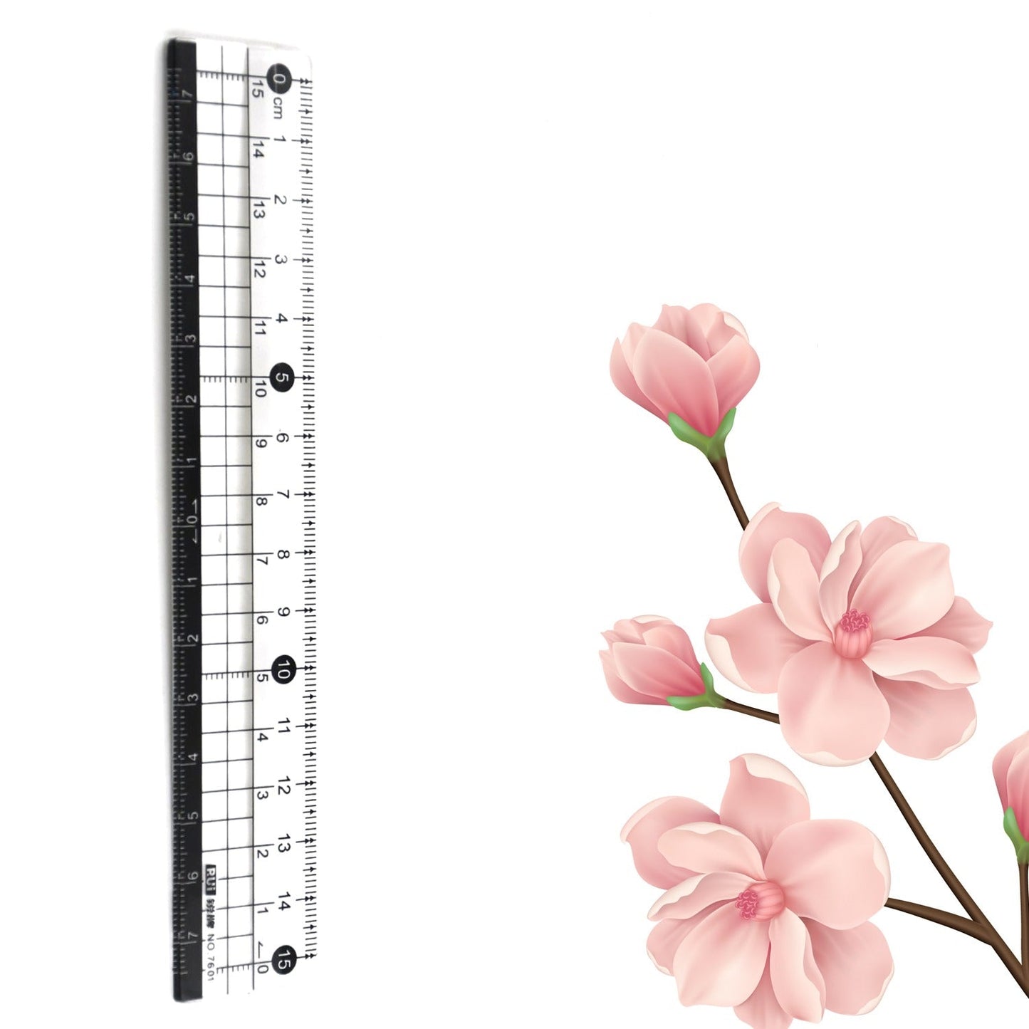 TRANSPARENT RULER, PLASTIC RULERS, FOR SCHOOL CLASSROOM, HOME, OR OFFICE (15 Cm) Pack of 10pcs