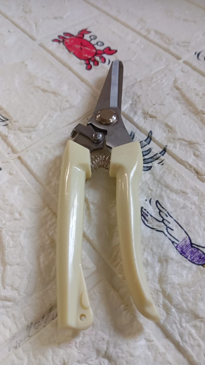 Garden Pruning Shears with Anti-Slip Handle Labor-Saving Fruit Tree Pruning Shears - Springkart 