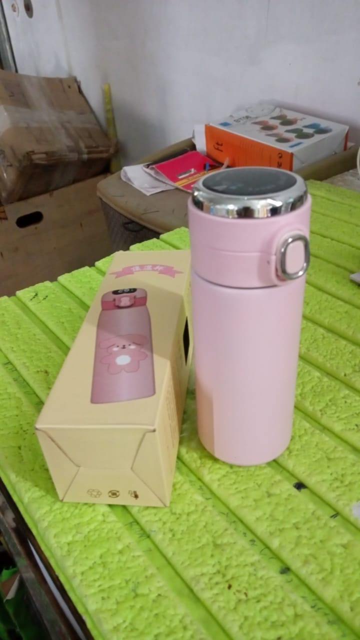 Smart Vacuum Insulated Water Bottle with LED Temperature Display (450 ML Approx) - Springkart 