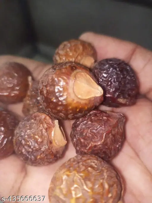 100% Natutal Aritha/Reetha/Ritha Soap nuts 1200gram packet - Springkart 