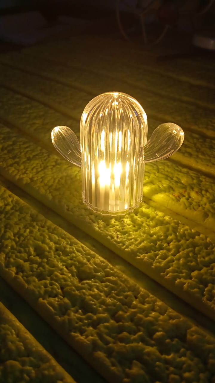 Cute Cactus LED Night Light (Cactus / 1 Pc) - Springkart 