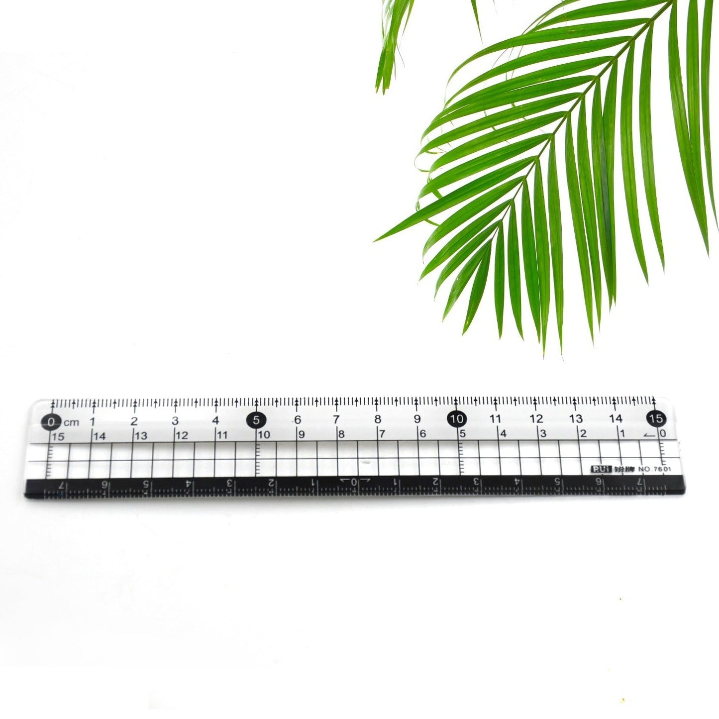 TRANSPARENT RULER, PLASTIC RULERS, FOR SCHOOL CLASSROOM, HOME, OR OFFICE (15 Cm) Pack of 10pcs