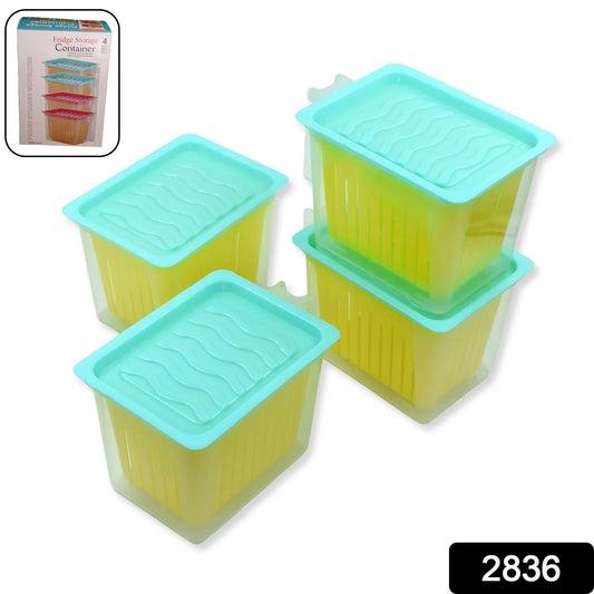Fridge Storage Containers with Handle Plastic Storage Container for Kitchen(4 Pcs Set) - Springkart 