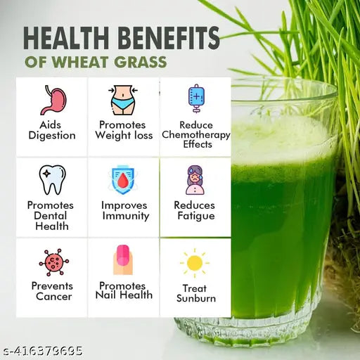 Wheatgrass Powder for Weight Loss,Immunity boosting,Superfood (pack of 2) - Springkart 