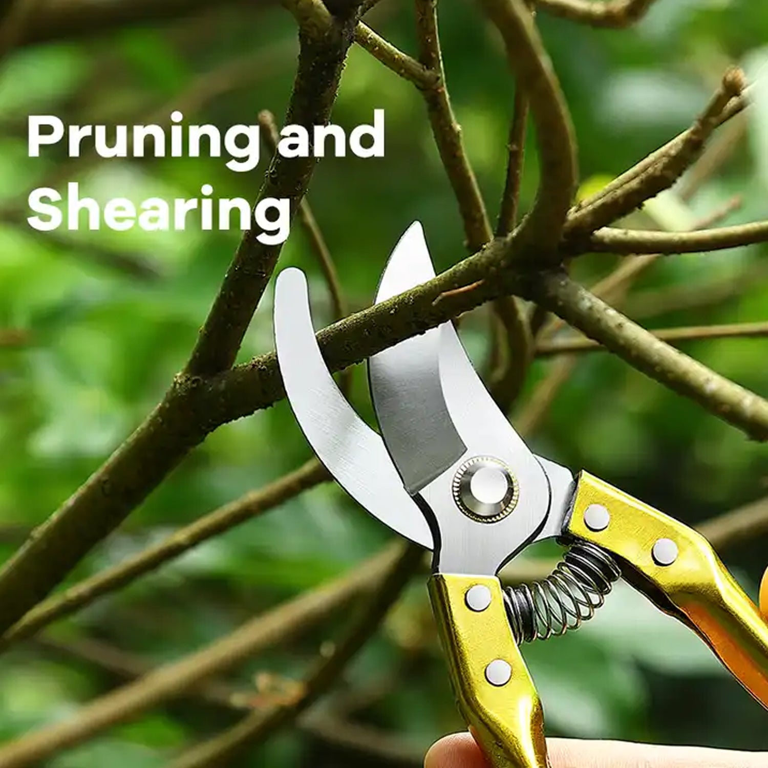 Gardening Tools - Garden Shears Pruners Scissor (1 Pc) - Springkart 