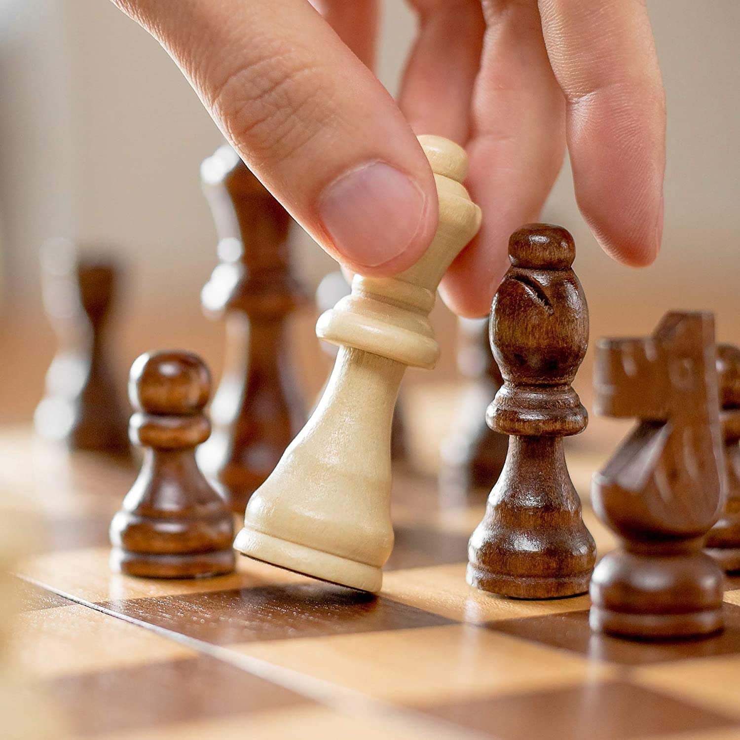 Foldable Wooden Chess Board Set (30 30 Cm 1 Set) - Springkart 