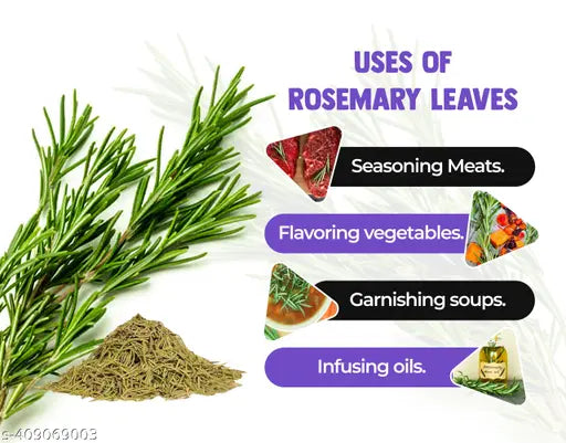 Premium Rosemary Dried Leaves - Organic Culinary Herb for Exquisite Flavor and Health Benefits 100gm With 100ml Spray Bottle. - Springkart 