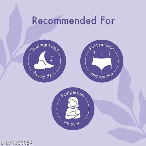 Period Panty For Sanitary Protection- Super Absorbent, Heavy Flow Disposable Overnight Panties Sanitary Pad / Padded Panty Sanitary Pad  (Pack of 10)