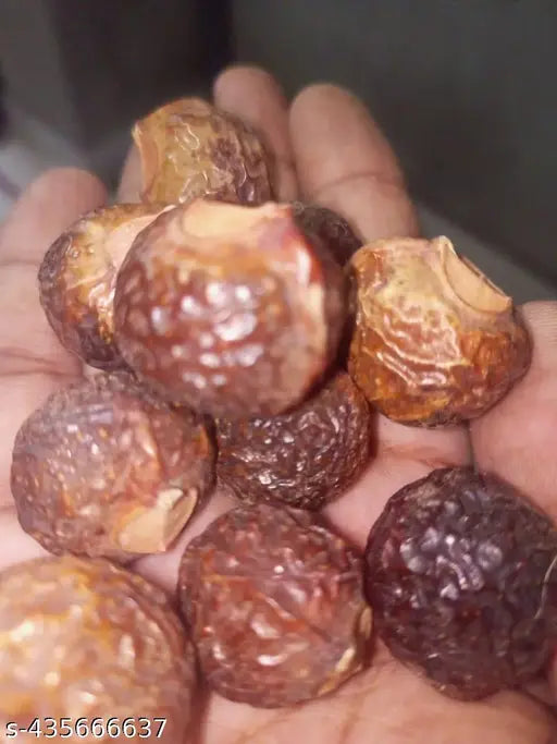 100% Natutal Aritha/Reetha/Ritha Soap nuts 1200gram packet - Springkart 