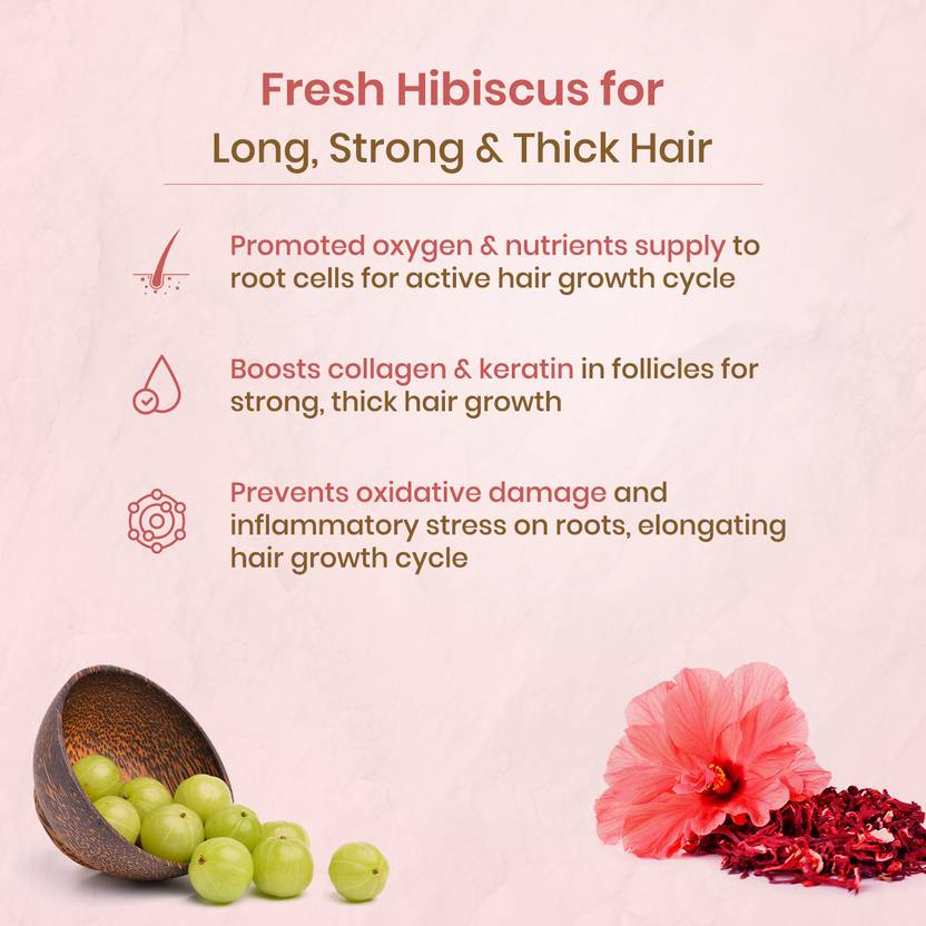Nat Habit Hibiscus Hair Oil, Shampoo and Conditioner Combo | 3-in-1 Complete Hair Care Kit (3 Items in the set)