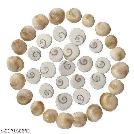 VASTU VARDAN Gomti Chakra 11 Pieces Natural White Gomati Stone Energized Gomti Chakra for Financial Growth and Wealth Laxmi Prapti Gomti Chakra Astrological Gemstone - Springkart 