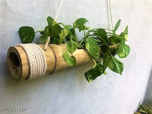 Stylish planter made by natural bambo set of 1 (color-green to pale yellow)