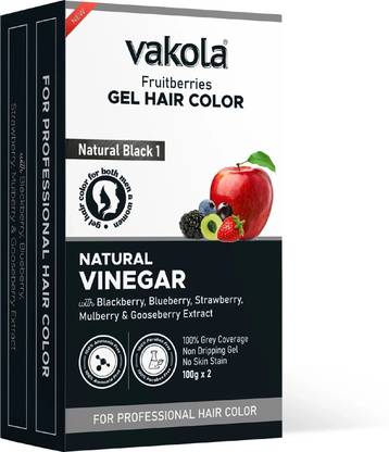 Vakola Natural Black Professional Gel hair Color for Both Men & Women - 100GM x 2 , Natural Black