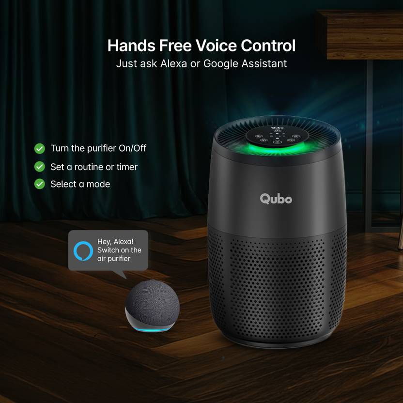 Qubo R250 Room Air Purifier  (Black)