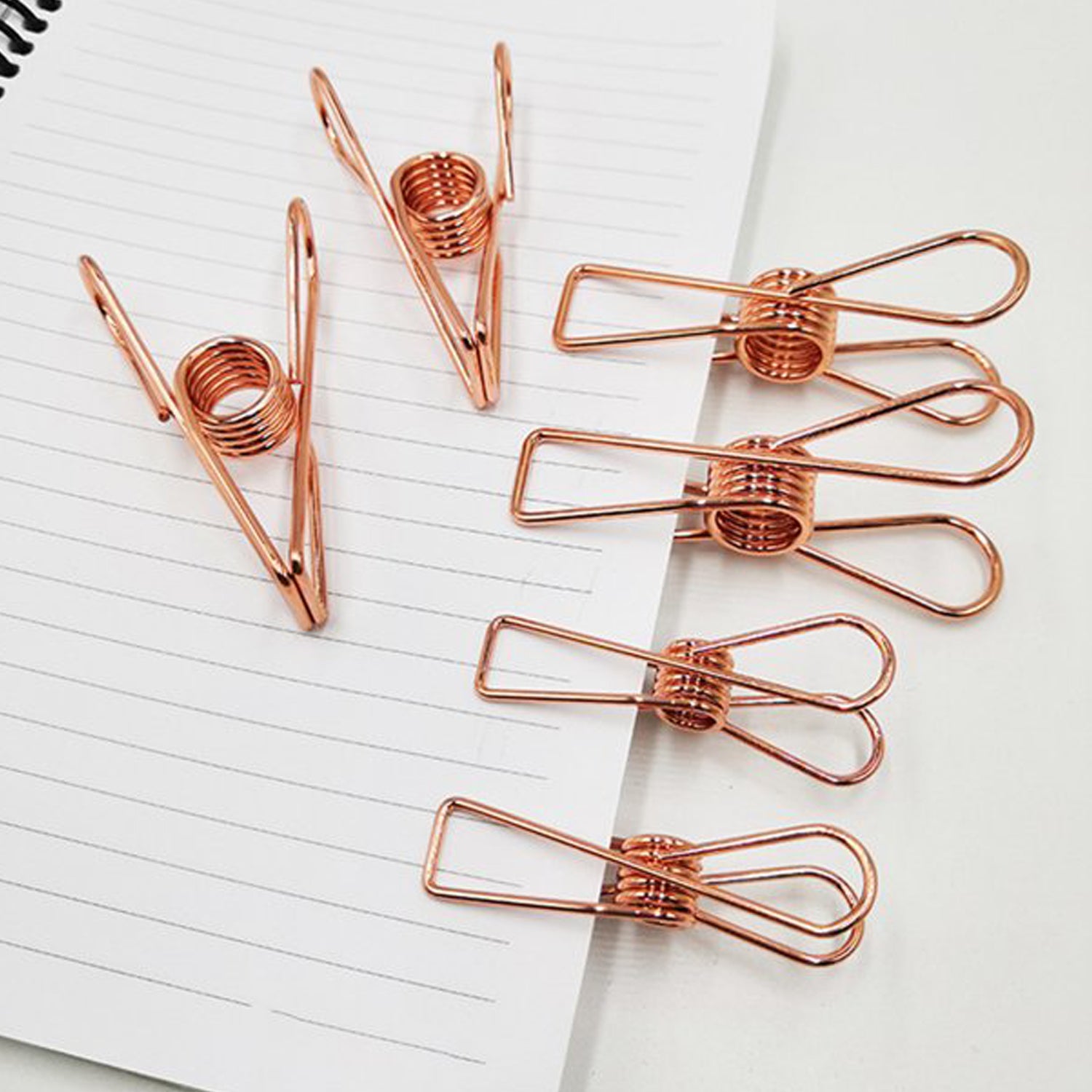 6180 Stainless Steel Multipurpose Sturdy Clothes Hanging Clips - Springkart 