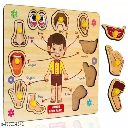 Wooden Human Body Parts Puzzle Games and Learning Educational Board Activities Body Parts Toys.