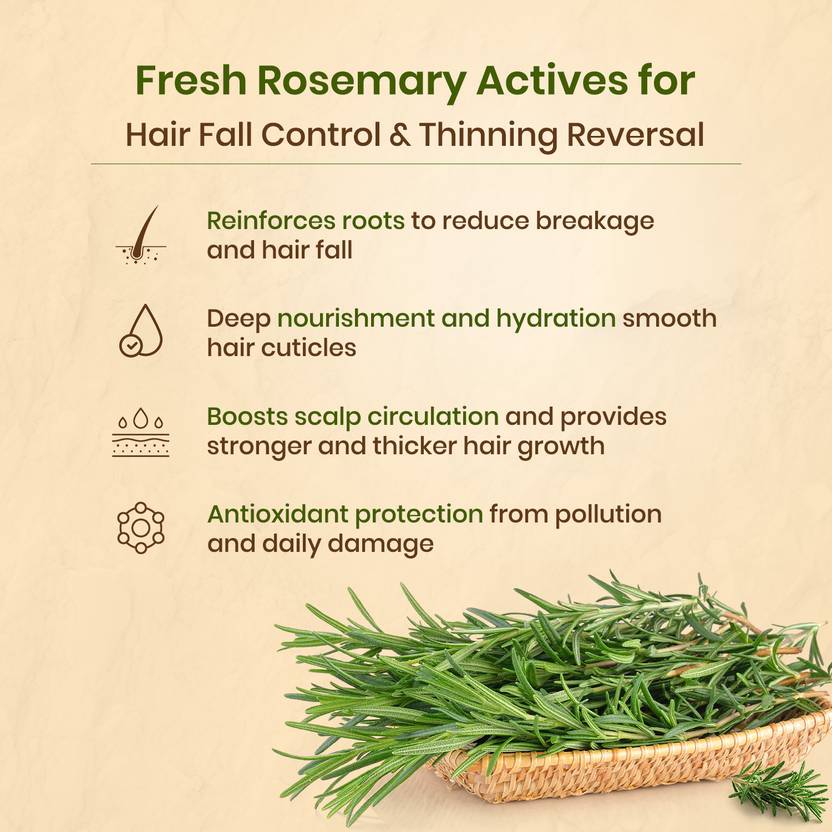 Nat Habit Rosemary Hair Oil, Shampoo and Conditioner Combo | 3-in-1 Complete Hair Care Kit (3 Items in the set)