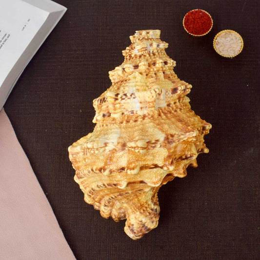 Sughosh Shankh (Bursa Bubo)