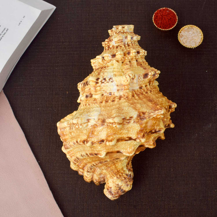 Sughosh Shankh (Bursa Bubo)