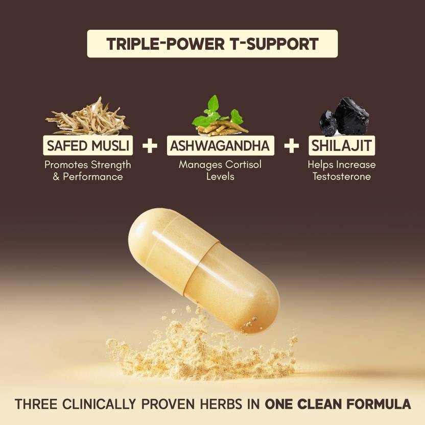 Rasayanam T-Charge Capsules-500mg, Testosterone Supplement for Men, For Strength & Stamina (60 Capsules)