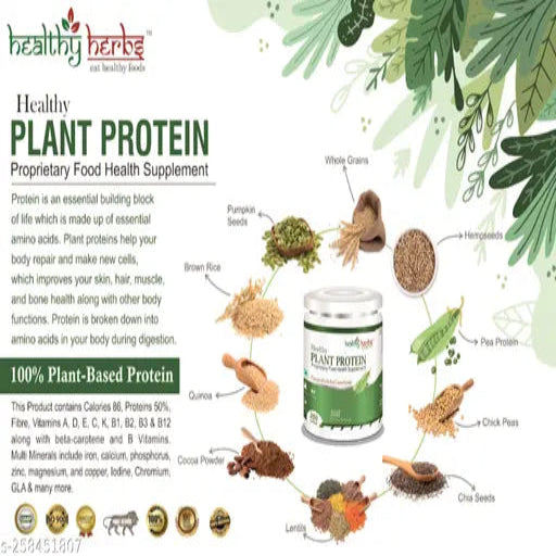 Healthy Plant Protein Powder (Vegan Protein ) for Healthy Life Plant-Based Protein (Chocolate Flavour) - Springkart 