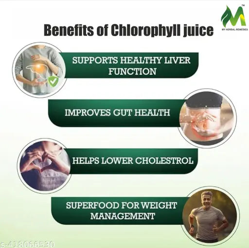 Chlorophyll Juice  800ml  Liquid Chlorophyll Natural Energy Booster For Men And Women  Supports Detoxification, Healthy Skin & Weight Loss