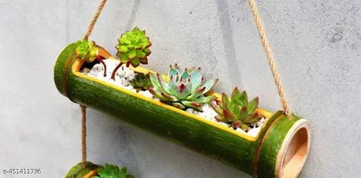 Stylish planter made by natural bambo set of 1 (color-green to pale yellow)