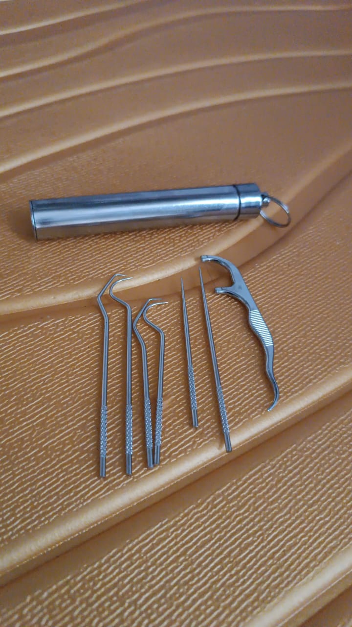 7 In 1 Stainless Steel Toothpick Flossier Set (1 Set With Case) - Springkart 