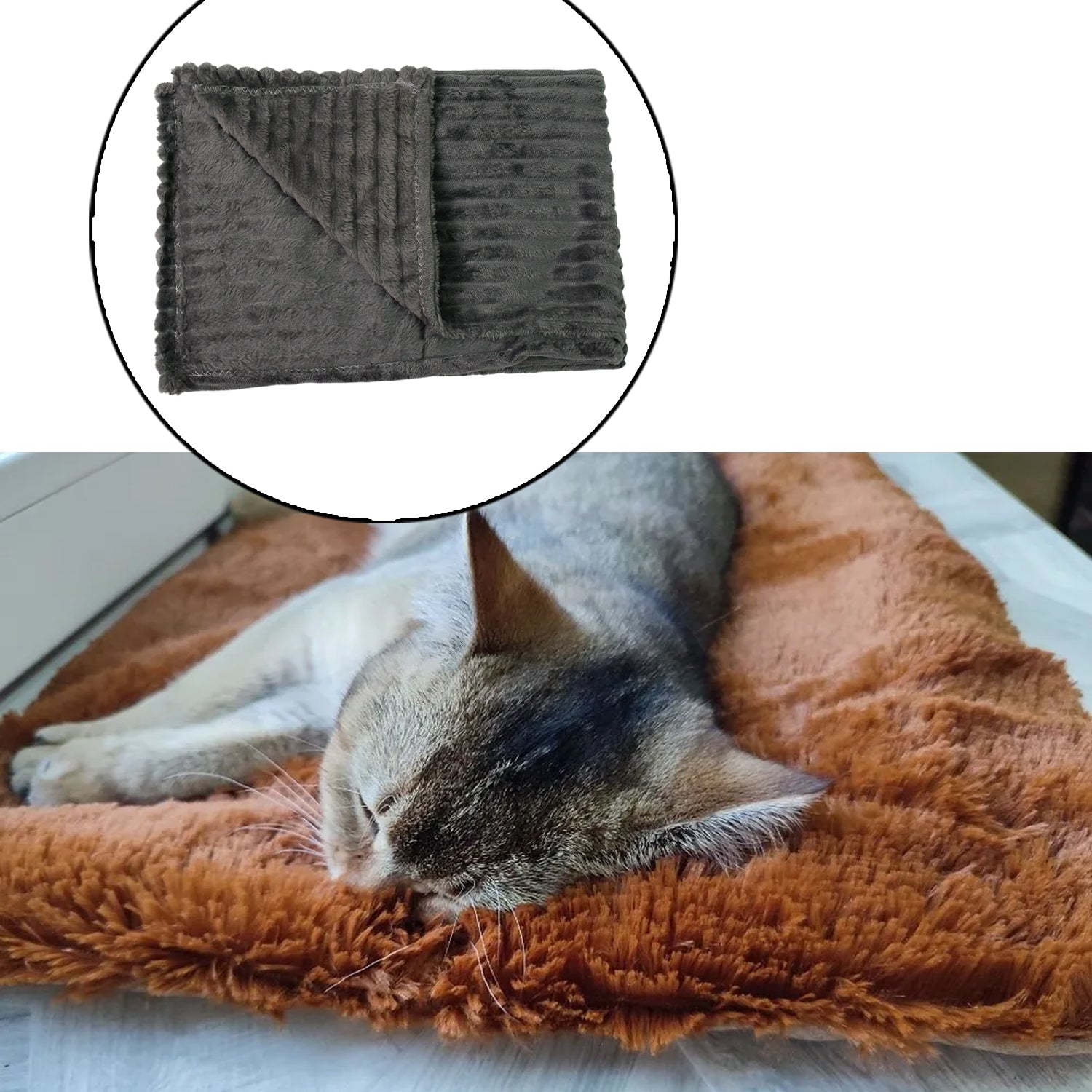 Pet Soft Cat Dog Blanket Towel (11070 Cm 1 Pc Mix Color Design) - Springkart 