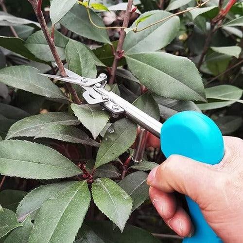 Portable Pointed Gardening Scissor Picking Fruit Cut With Safety Lock - Springkart 